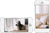 img/phones.png