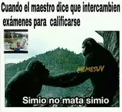imagenes/simio.jpg