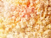 PopcornBG01.jpg