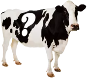 QuestionCow1.png