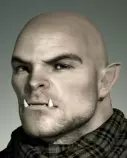 SR/ork01.jpg