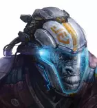 gorilla01.jpg
