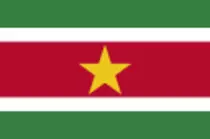 images/surinameflag.png