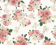 images/Chinese_rose_-_desktop_backgrounds.jpg