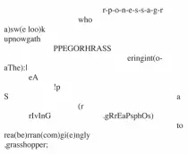 img/grasshopper_1.jpg
