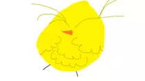 birb.png