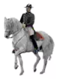 dressageani.gif