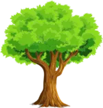 Mod02/Colorful-Natural-Tree-300px.png