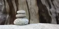 stump.png