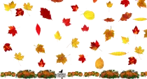 images/FallingLeaves.gif