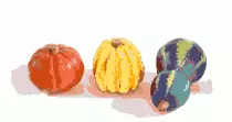 images/fall.gif