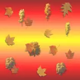 images/fallbg.gif