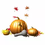 images/gourds_falling_leaves_lg_nwm.gif