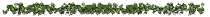 more/DivLeaves.gif