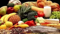 healthy_food_web_0.jpg