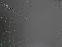 img/img3.jpg