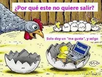 pollito-internauta.jpg