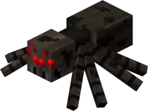 Spider.jpg