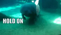 glass.gif