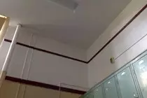 what.jpg