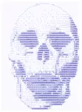skull.png