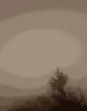 photo/fog_background_dither.png