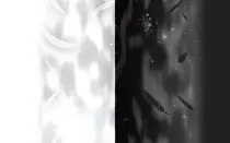 assets/img/Weiss Schwarz.jpg
