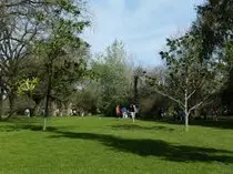 imagenes/campo1.jpg