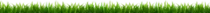 ProyCursoWeb/images/hierba.png