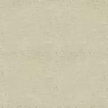 pet/noos2.gif