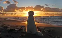 atardecer.jpg