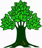 tree.jpg