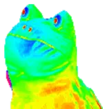 RAINBOWS.gif
