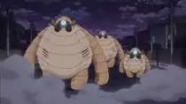 arugda.jpg