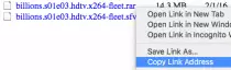 media/copy_img_src.png