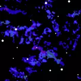 downloads/spacebg1.png