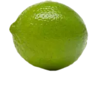 lemon/lime_trans.png