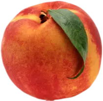lemon/peach.png