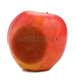 lemon/rotten.png