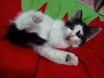 IMG20160111195509.jpg