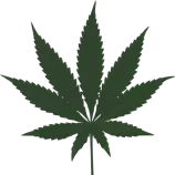 browserhistory/images/seattlebud.png