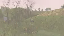 ss-bgd.jpg