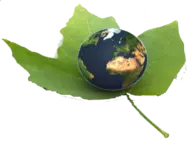 Mod02_EjFinal/Hoja.png