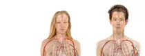 images/head.png
