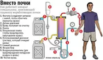 images/image4.png