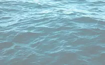 assets/images/body_.jpg