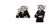 bizzness catt.png