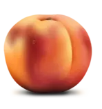 images/slider-img5.png