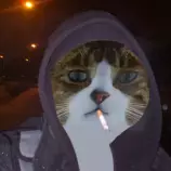 olli.png