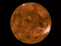 Venus plant gif.gif